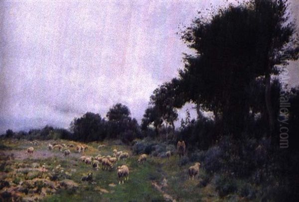 Moutons Au Paturage - view 1