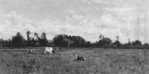 Vaches Au Paturage Vaches Au Paturage