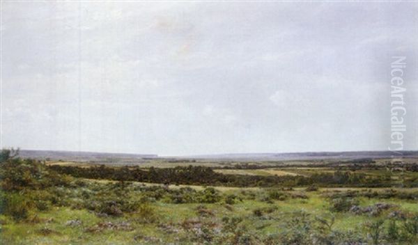 Extensive Landscape - view 1