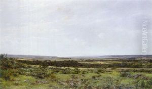 Extensive Landscape Extensive Landscape