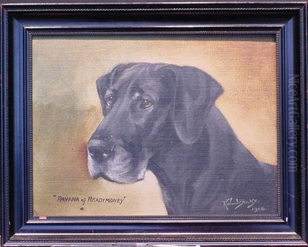 Ravana Of Readymoney (black Labrador) - view 1