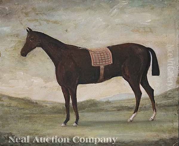 Horse With A Red Patterned Saddleblanket - view 1
