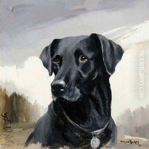 "tim", A Black Labrador by Reuben Ward Binks