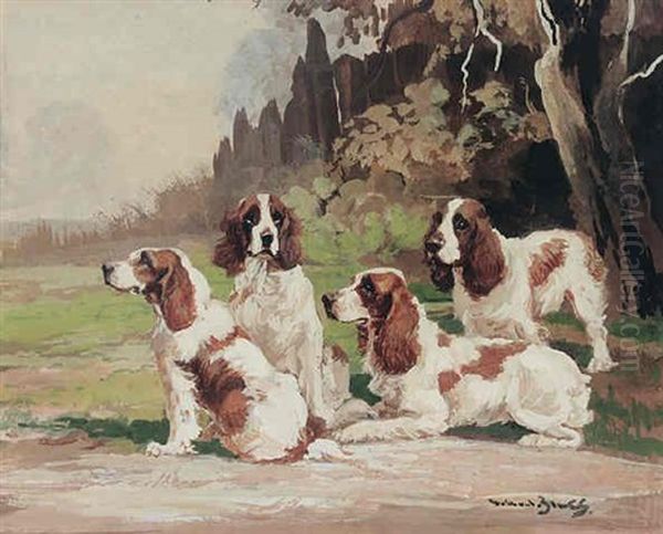 Welsh Springer Spaniels At Rest - view 1