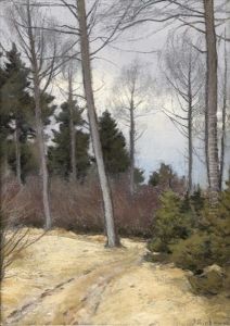 Chemin Boise by Francois Birbaum