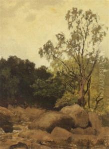 Betwys-y-coed (wales)