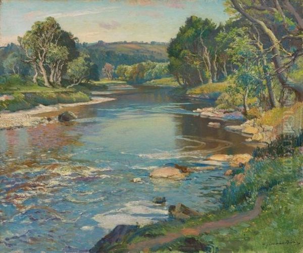 The Mill Pool At Corniehaugh, On The Deveron, Aberdeenshire - view 1