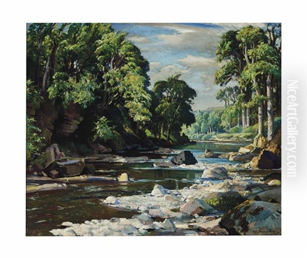 Waving Trees And Shallow Stream - view 1