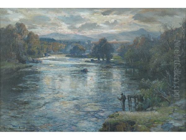 The Westering Sun On The River Don, Yorkshire - view 1