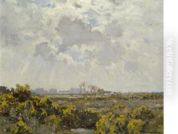 Towards St. Ives - view 1