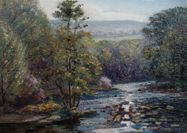 Forest Stream - view 1