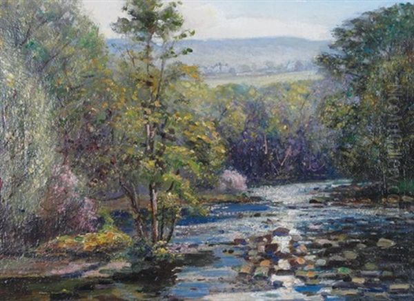 Rapids On A Woodland Stream - view 1