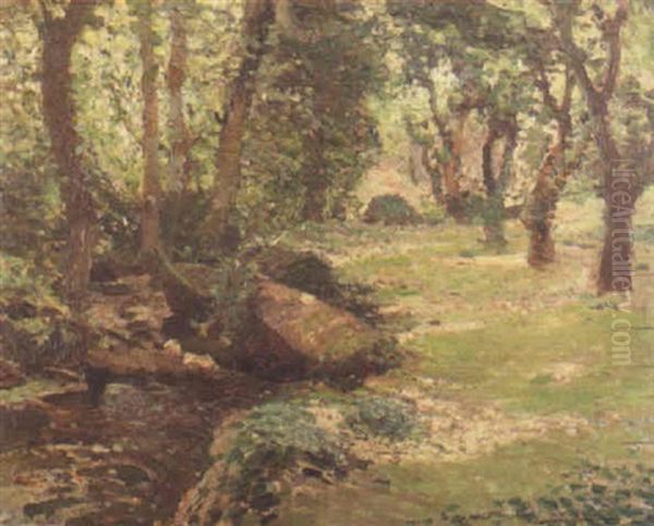 A Sunlit Forest Stream - view 1