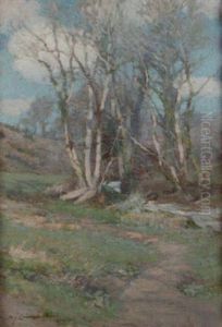 Trees Beside A Stream Trees Beside A Stream