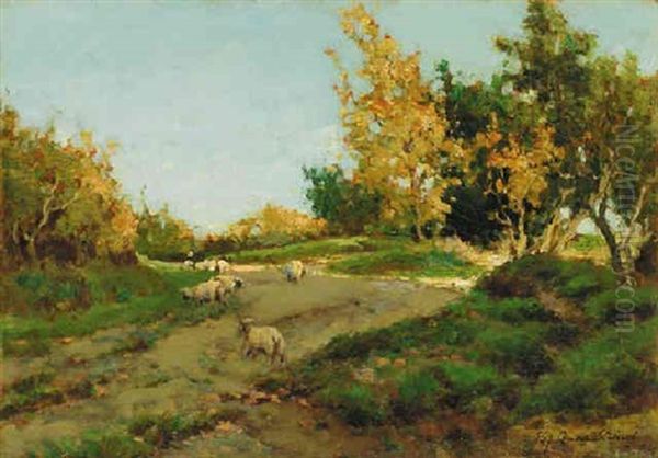 Sheep On A Lane - view 1