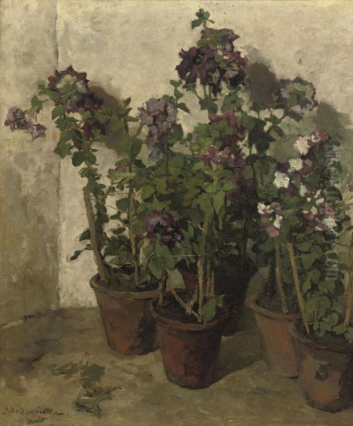 Pots With Purple Flowers - view 1