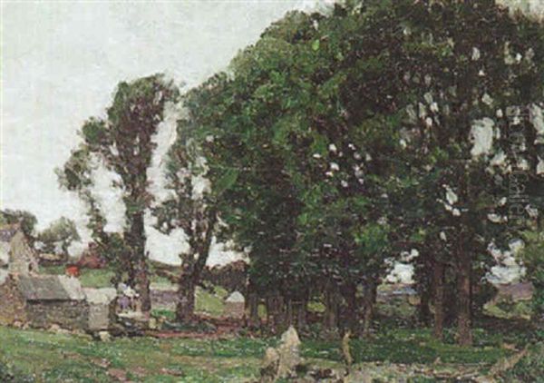 The Trees At Clapper Mill - view 1