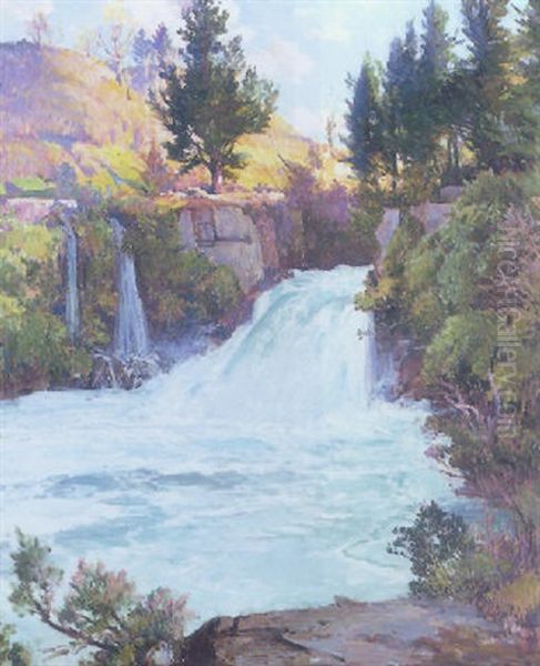 The Waterfall, New Zealand - view 1