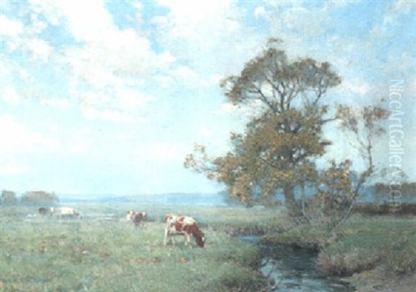 Trevider Valley - view 1