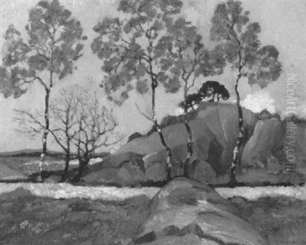 Fruhlingslandschaft Mit Birkengesaumtem Weg - view 1