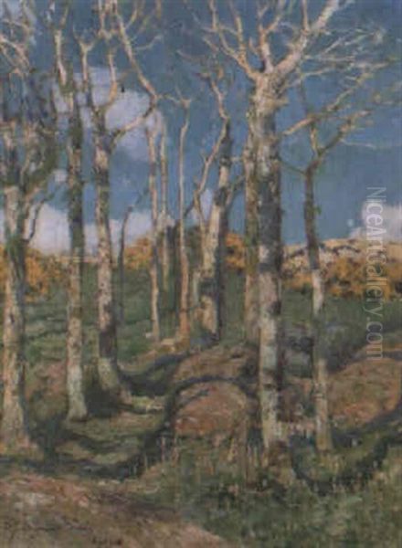 Trees In A Landscape - view 1