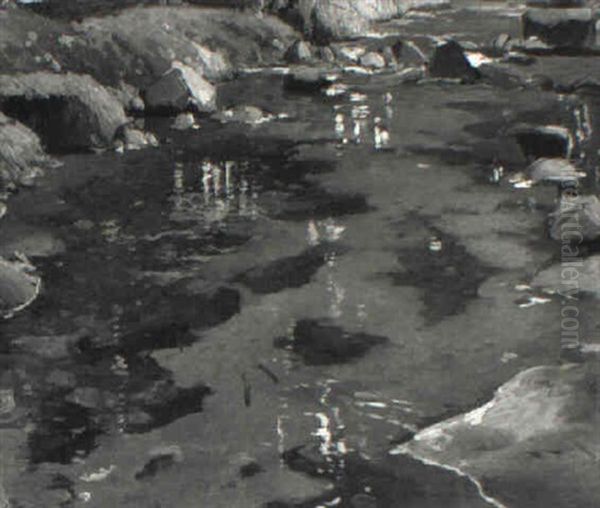 Pool - view 1