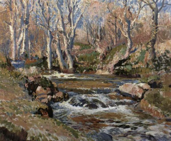 Our Little River, Lamorna - view 1