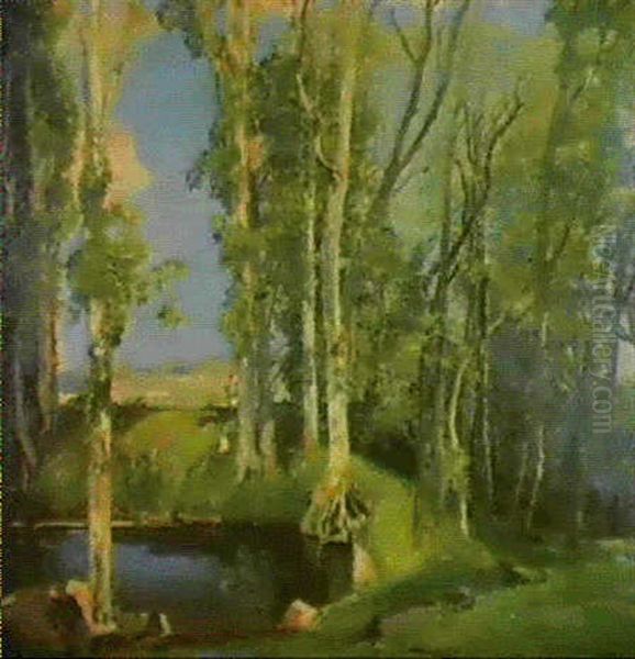 A Woodland Pool - view 1