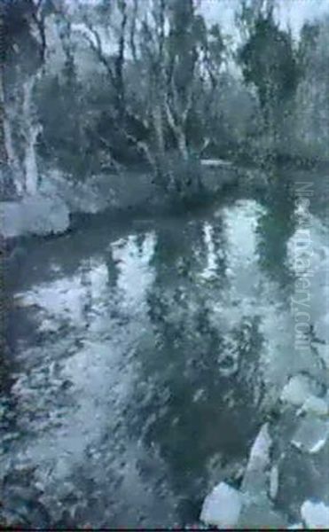 The Trout Stream, Lamorna - view 1