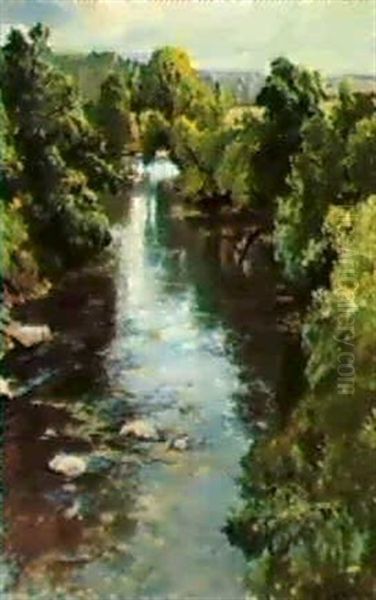The River Almond Perthshire - view 1