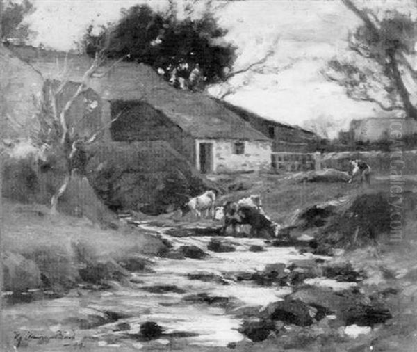 Cattle Drinking - view 1