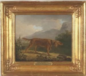 Setter In A Landscape