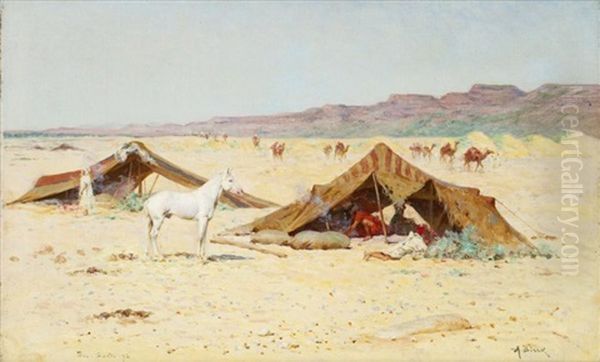 Le Poulain Au Campement, Bou Saada - view 1