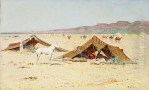 Le Poulain Au Campement, Bou Saada