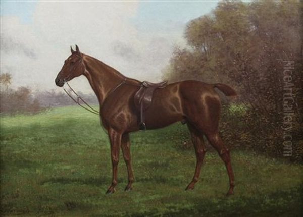 Birdcatcher A Chestnut Hunter - view 1