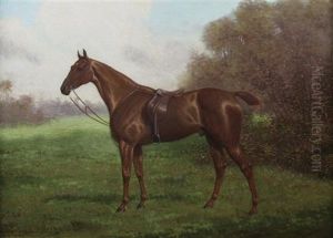 "birdcatcher" A Chestnut Hunter