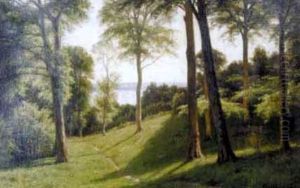 Waldlandschaft Auf Fanoe by Axel Birkhammer