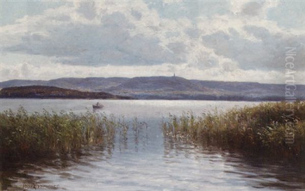 A Rowing Boat On A Lake - view 1
