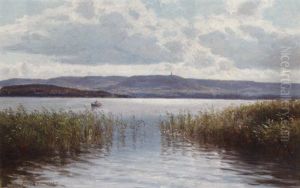A Rowing Boat On A Lake