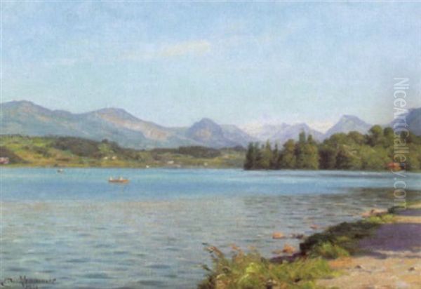 A Swiss Lake - view 1