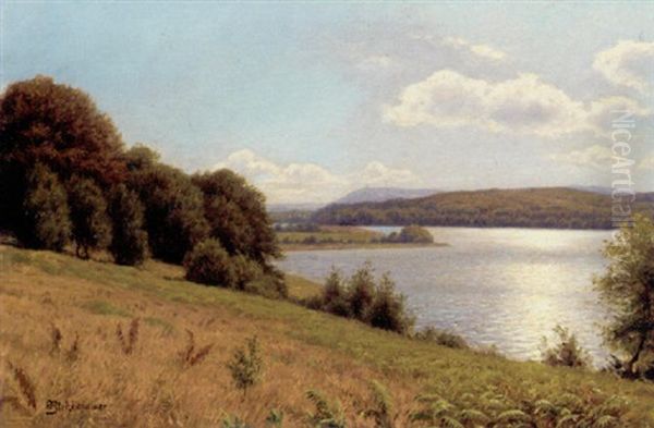 Silkeborgsoerne, I Baggrunden Himmelbjerget - view 1