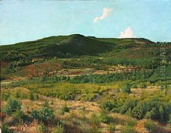 View Of Svanninge Bakker With Threes - view 1