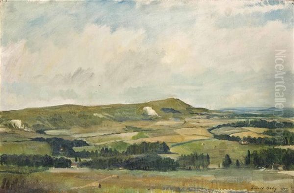 The Sussex Downs - view 1