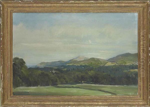 Brayhead And The Little Sugarloaf, Co. Wicklow - view 1