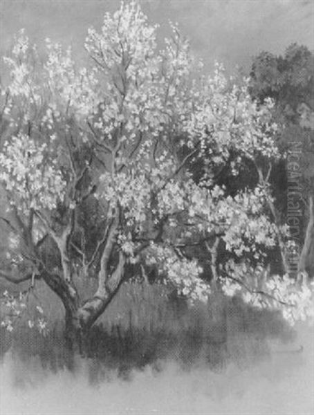 Blossom Tree - view 1