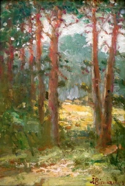 Forest Etude - view 1