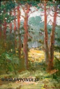 Forest Sketch Forest Sketch