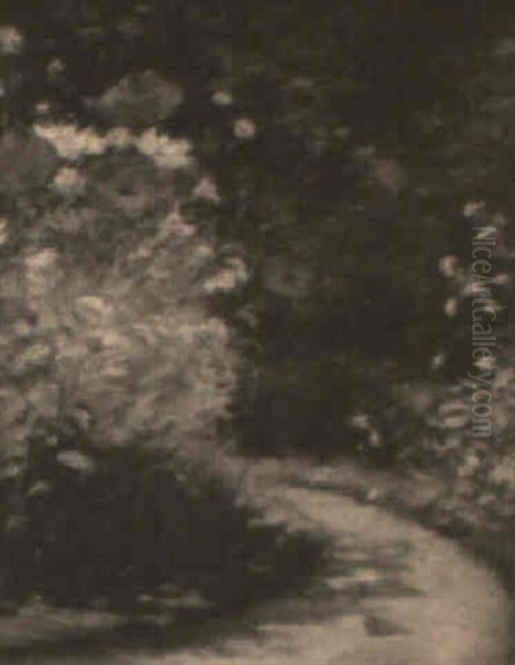 Flowers By The Path - view 1