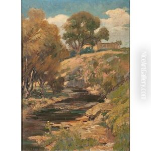 Summer Scene With Stream