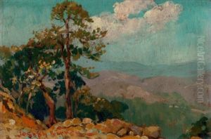 Hogback Mountains, South Carolina 1926